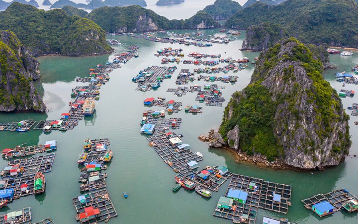 Trave Vietnam Halong Bay
