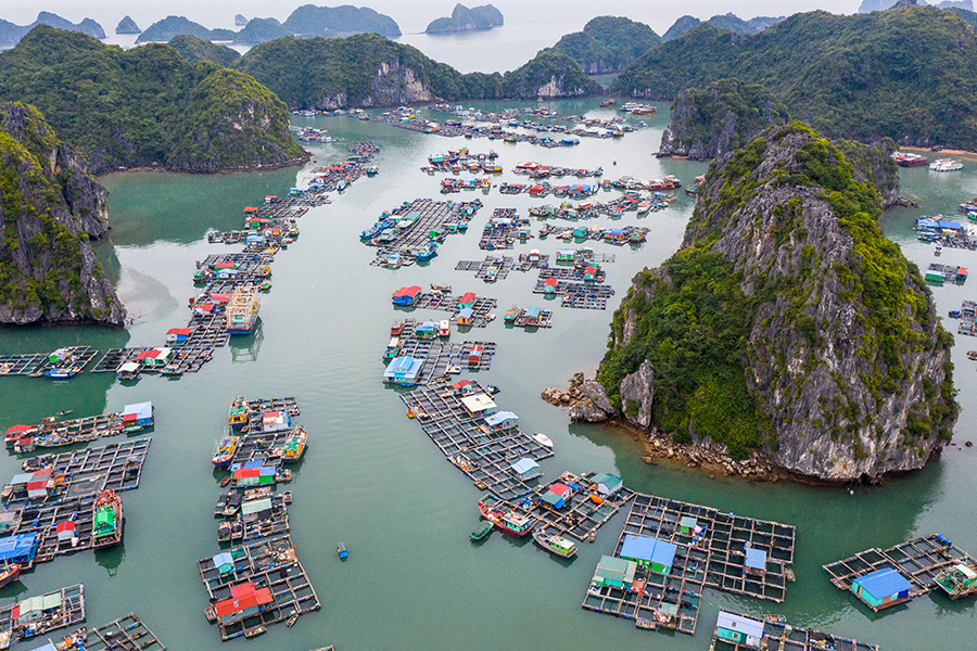 Trave Vietnam Halong Bay