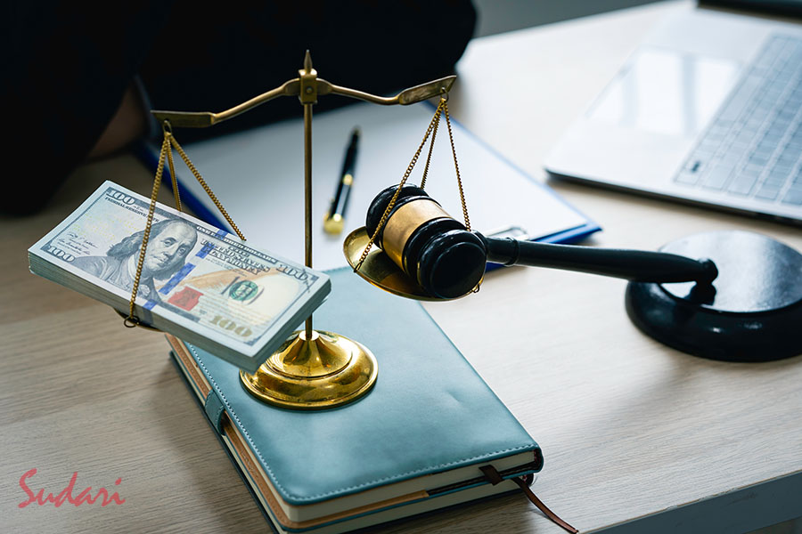 The_Law_in_Sri_Lanka